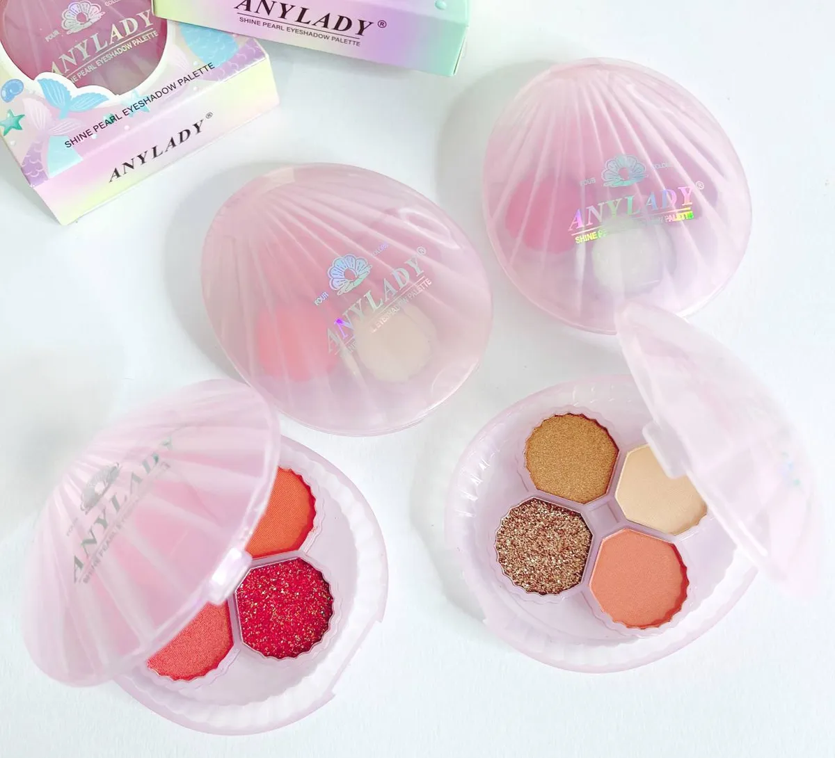 پالت سایه آنیلیدی صدفی